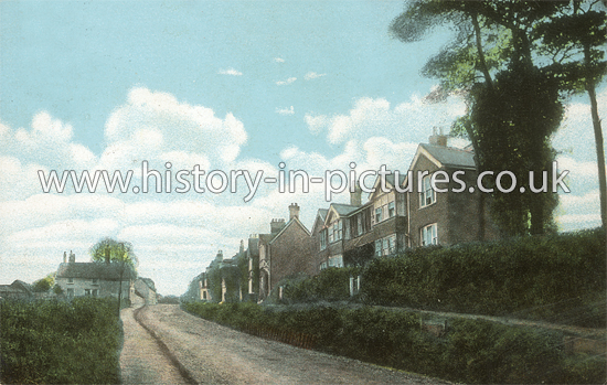 The Griffin Hill, Danbury, Essex. c.1906